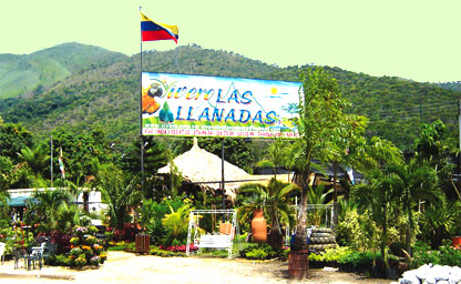 VIVERO VENEZUELA vivero venezuela:
